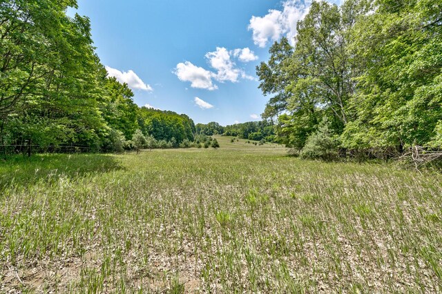2435 108th Ave, Otsego, MI 49078 - view of yard with a view of trees