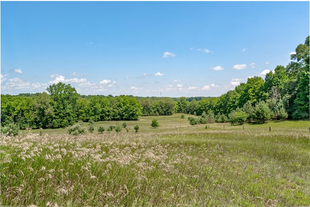 view of local wilderness featuring a rural view