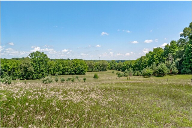 2435 108th Ave, Otsego, MI 49078 - view of wooded area featuring a view of rural / pastoral area