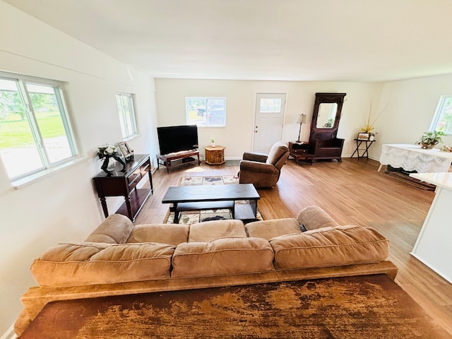 living room featuring wood-type flooring