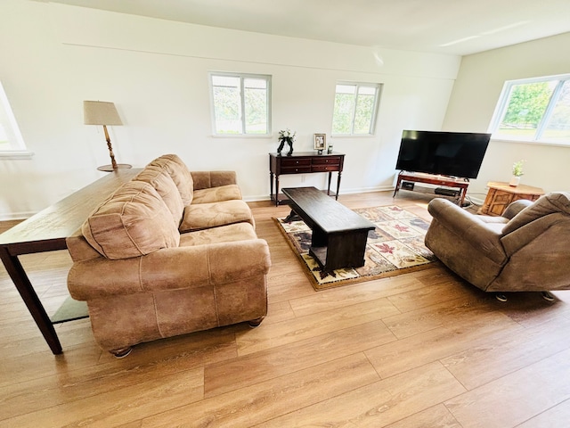 living room featuring a healthy amount of sunlight and light hardwood / wood-style flooring