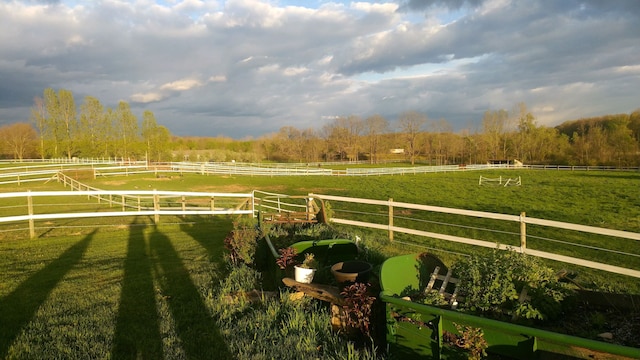 view of yard featuring a rural view