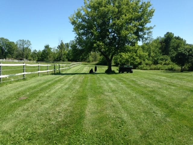 view of yard with a rural view