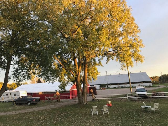 view of yard at dusk