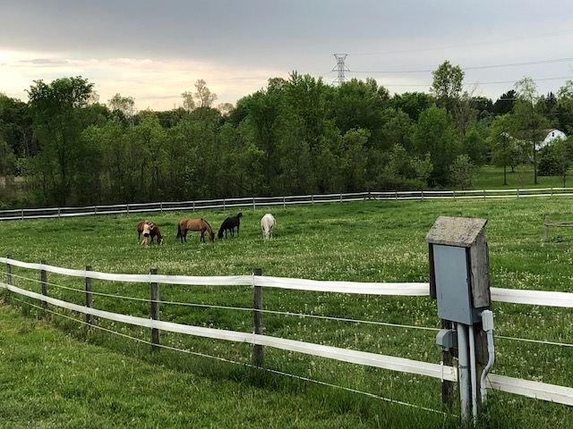 view of community with a rural view