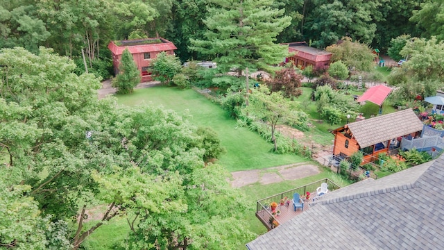 15 S Broad St, Hillsdale, MI 49242 - drone / aerial view of a forest