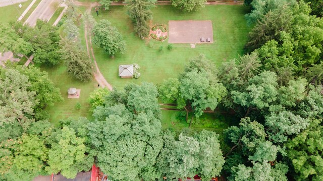 15 S Broad St, Hillsdale, MI 49242 - aerial view