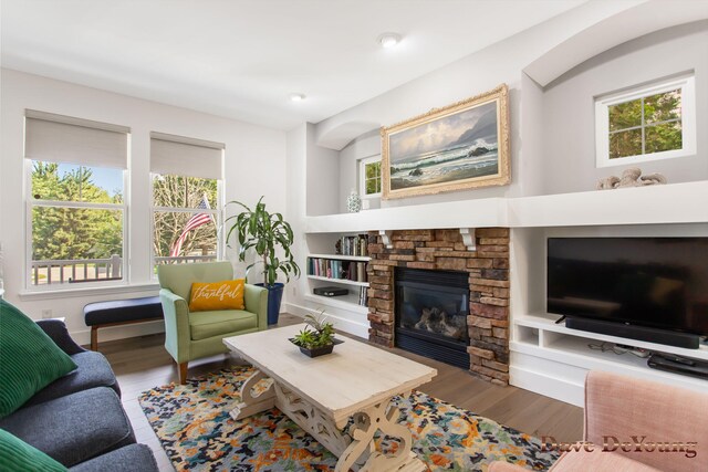 living room with a fireplace, hardwood / wood-style floors, and a healthy amount of sunlight