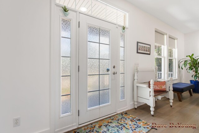 entryway with hardwood / wood-style floors