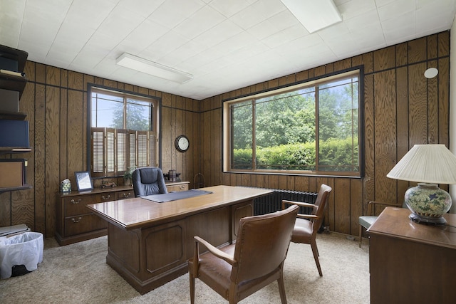 801 Portage Ave, Three Rivers, MI 49093 - office with light carpet, wood walls, and plenty of natural light
