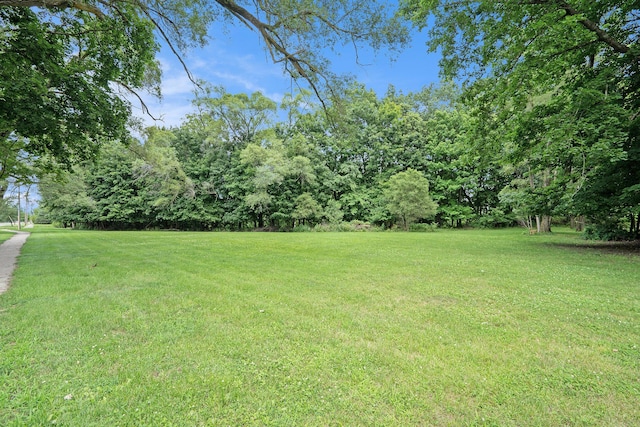 801 Portage Ave, Three Rivers, MI 49093 - view of grassy yard