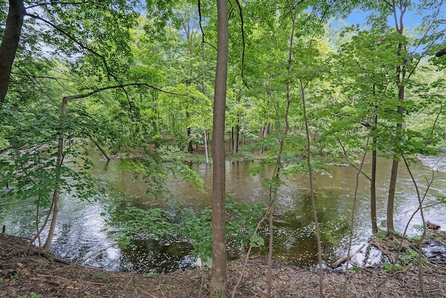 801 Portage Ave, Three Rivers, MI 49093 - water view