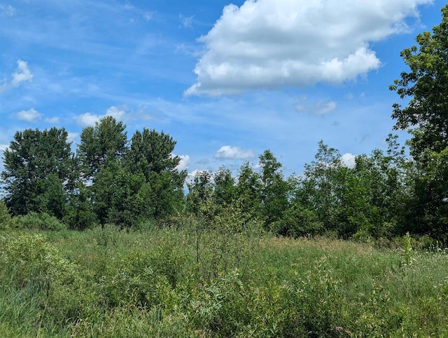 N/A Crosby Rd, Turner, MI 48765 - photo 2