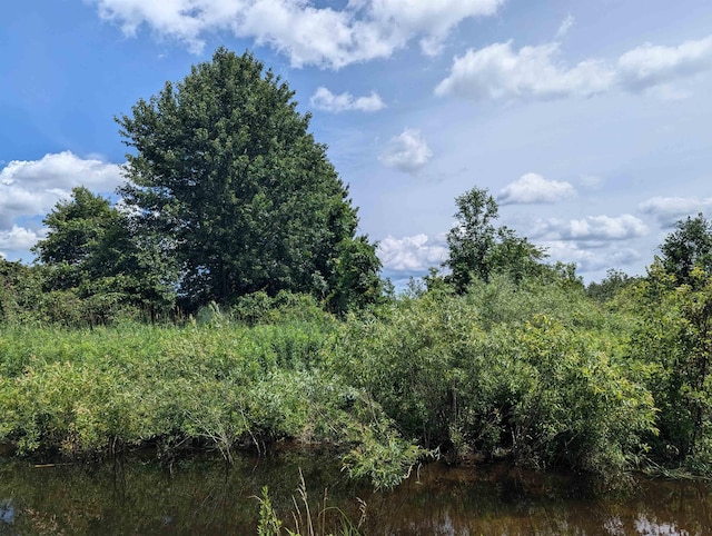 N/A Crosby Rd, Turner, MI 48765 - photo 5
