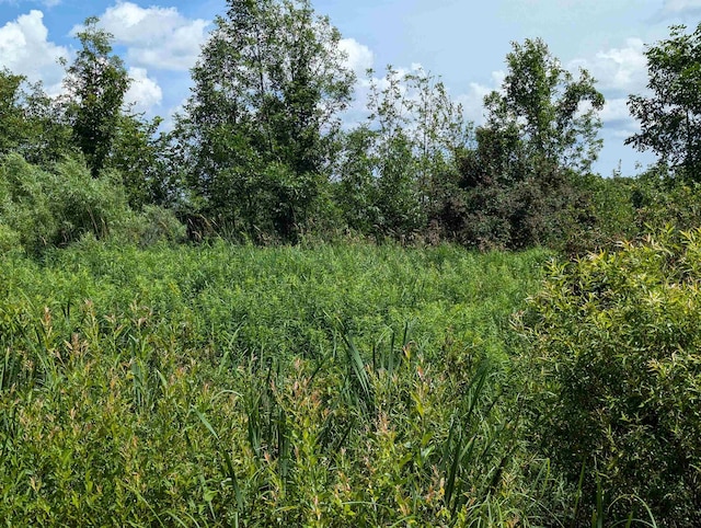 N/A Crosby Rd, Turner, MI 48765 - photo 1