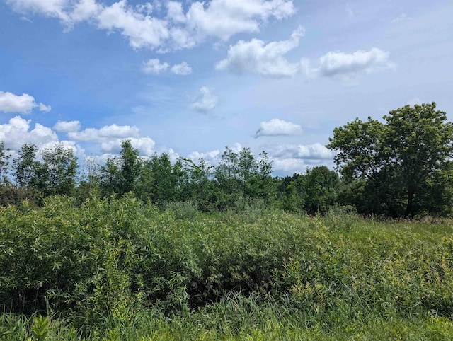 N/A Crosby Rd, Turner, MI 48765 - photo 3