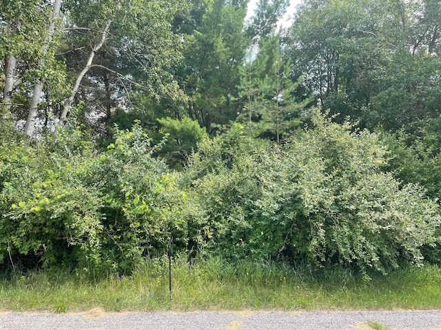 1090 Carmen Dr, Weidman, MI 48893 - photo 1