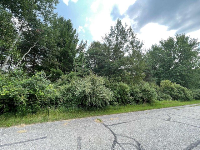 1090 Carmen Dr, Weidman, MI 48893 - photo 5