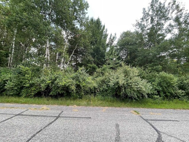 1090 Carmen Dr, Weidman, MI 48893 - photo 4