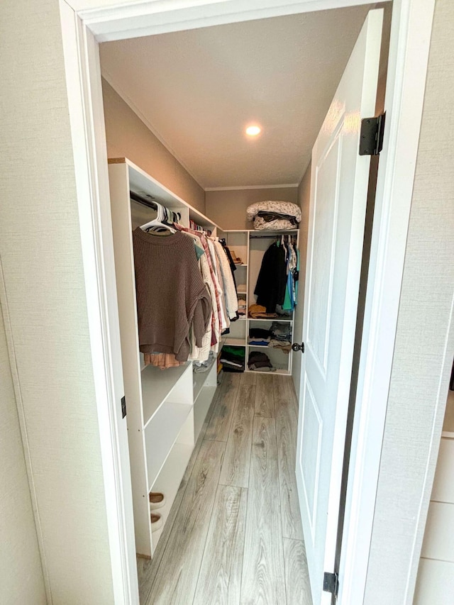 spacious closet featuring light hardwood / wood-style flooring