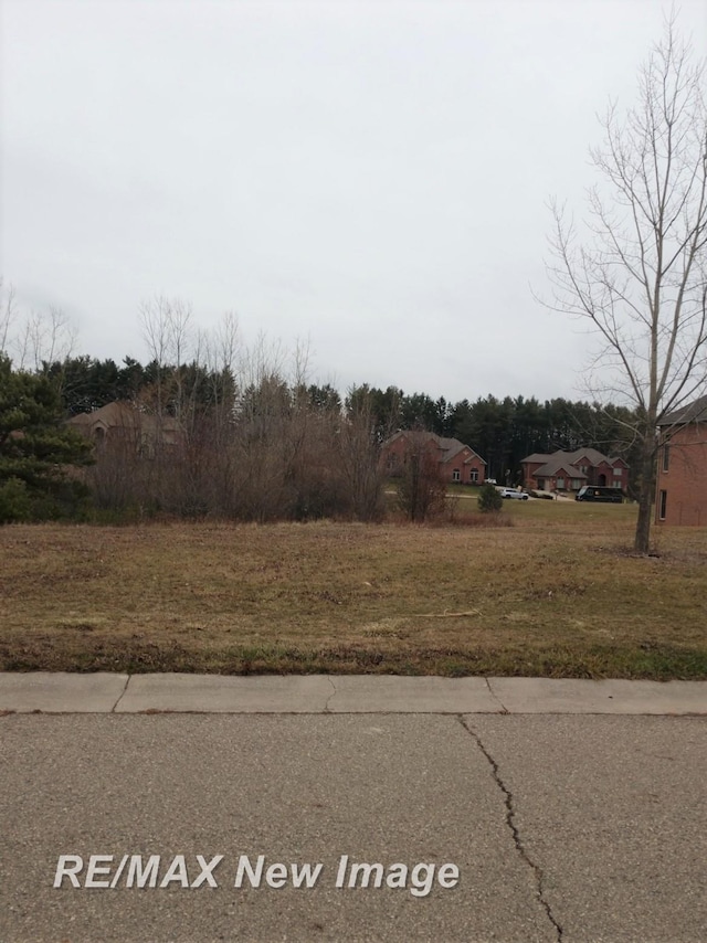 Listing photo 2 for V/L Rivershyre Pkwy, Davison MI 48423