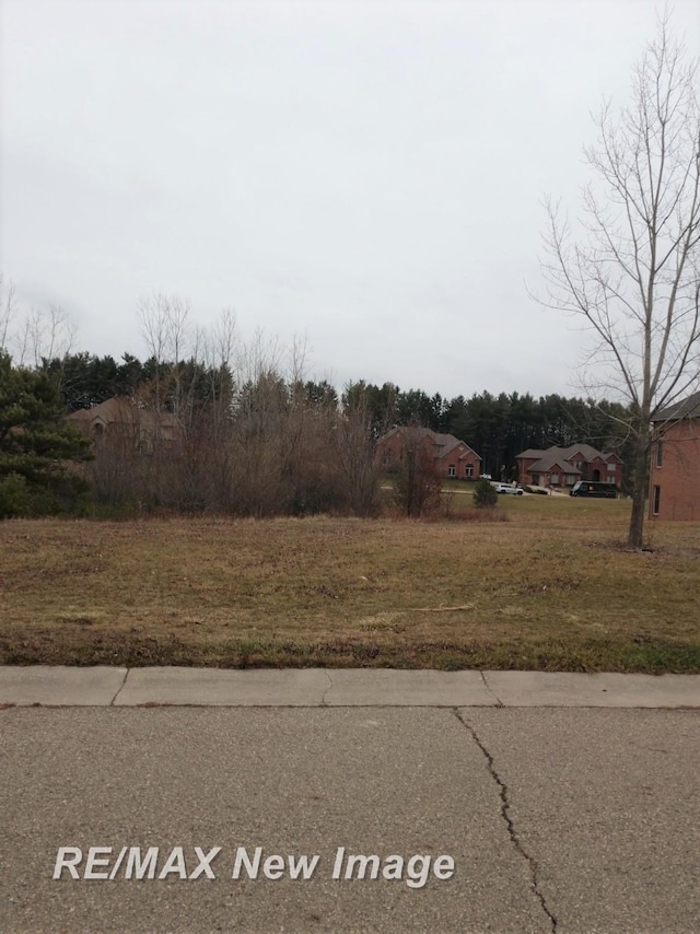 V/L Rivershyre Pkwy, Davison, MI 48423