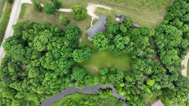 3447 200th Ave, Reed City, MI 49677 - aerial view of property and surrounding area