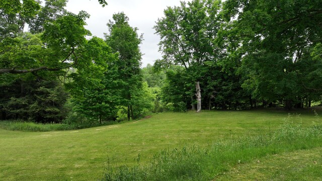 3447 200th Ave, Reed City, MI 49677 - view of green lawn featuring a wooded view