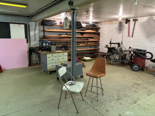 3447 200th Ave, Reed City, MI 49677 - below grade area with a workshop area and concrete block wall
