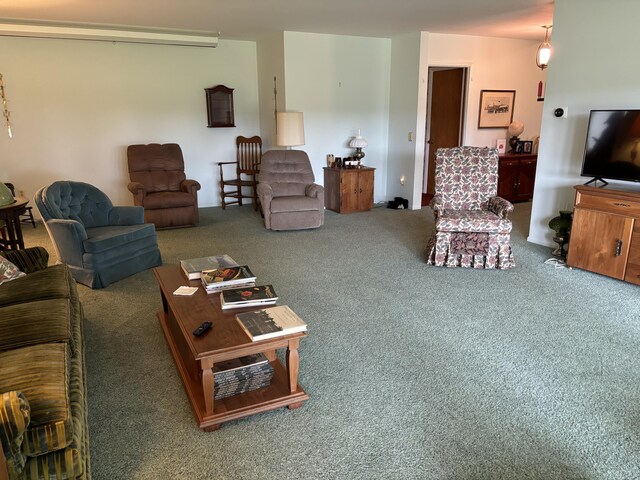 3447 200th Ave, Reed City, MI 49677 - living area with carpet floors