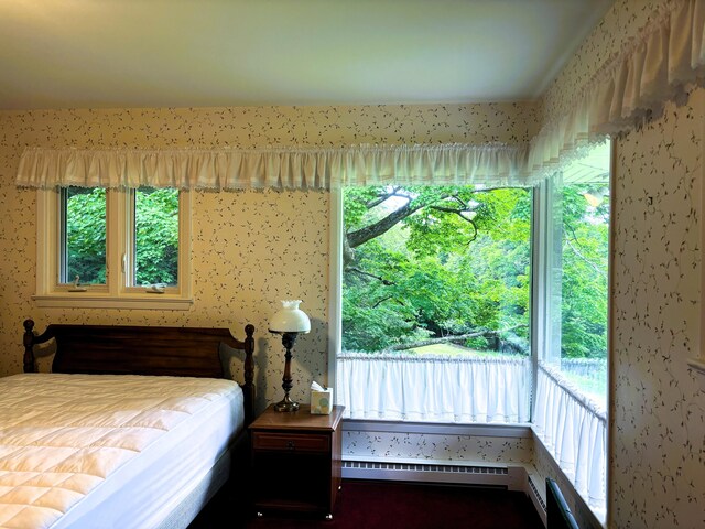 3447 200th Ave, Reed City, MI 49677 - bedroom featuring a baseboard heating unit and wallpapered walls