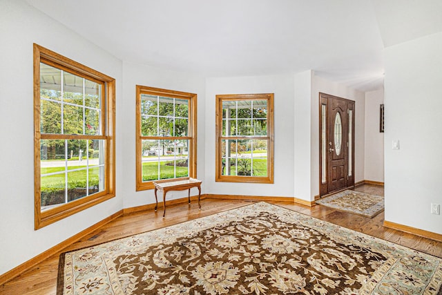 foyer entrance featuring hardwood / wood-style flooring