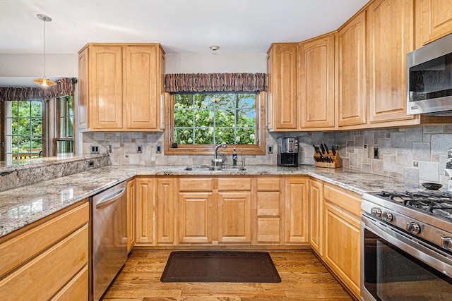 kitchen featuring stainless steel appliances, light hardwood / wood-style flooring, and a wealth of natural light