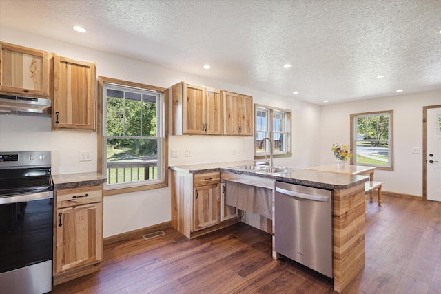 kitchen featuring light brown cabinets, sink, stainless steel appliances, dark hardwood / wood-style flooring, and a textured ceiling