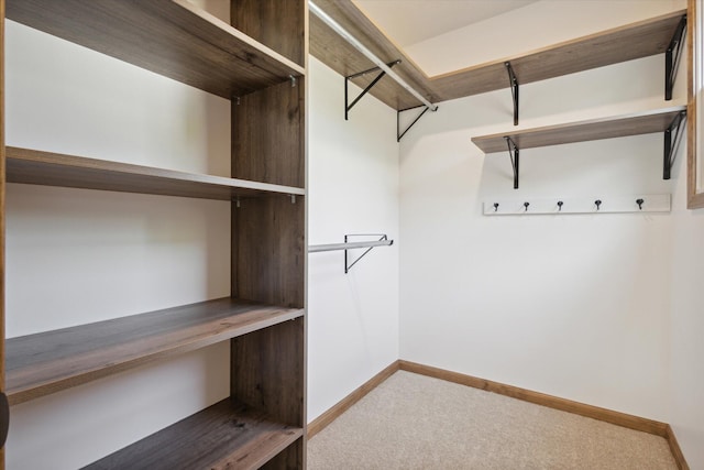 spacious closet featuring carpet flooring