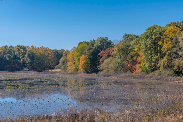 view of landscape with a water view