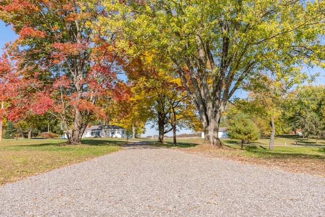 view of home's community featuring a yard