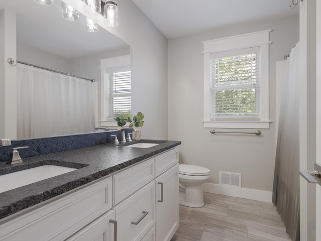 bathroom with plenty of natural light, toilet, and vanity