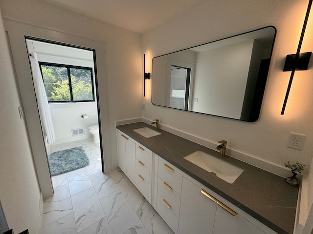 bathroom with toilet and vanity