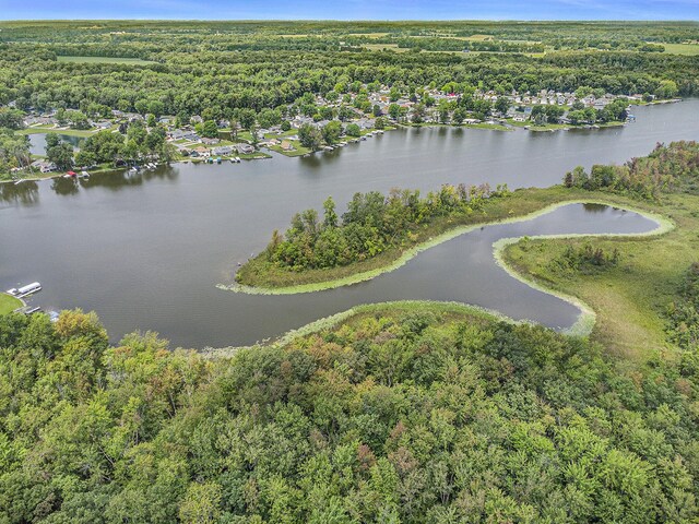 486 Maple Ln, Coldwater, MI 49036 - view of property location with a forest and a large body of water