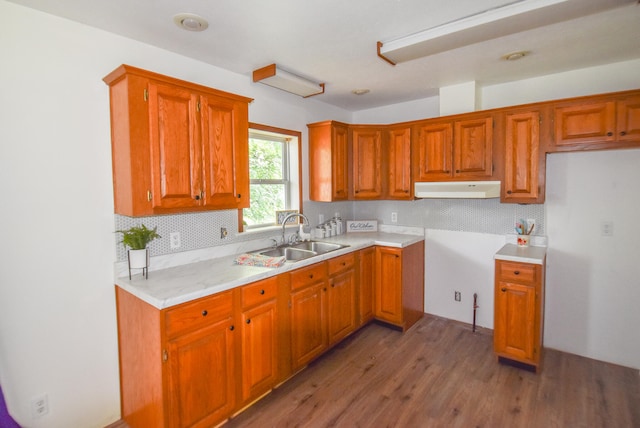 kitchen featuring dark hardwood / wood-style floors, sink, and extractor fan