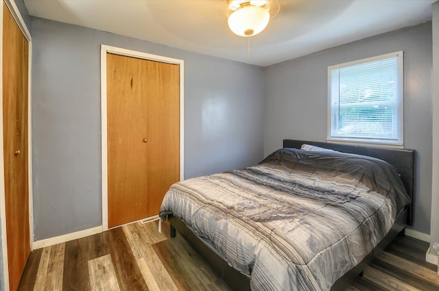 bedroom featuring dark wood-type flooring and a closet