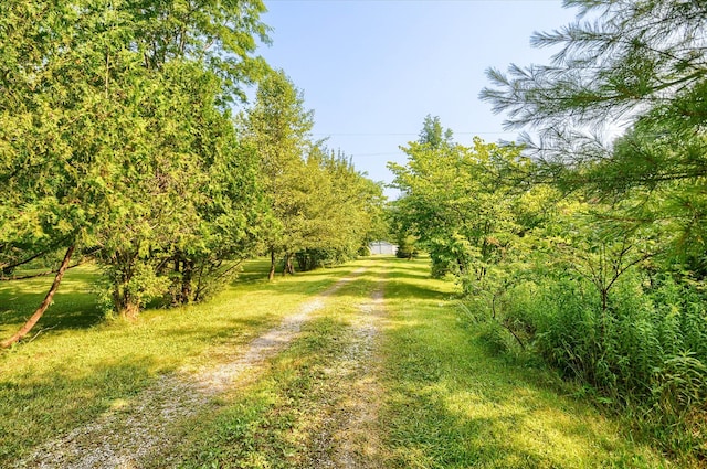 view of road