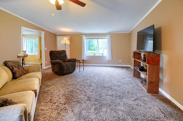 carpeted living room featuring crown molding, a textured ceiling, and a wealth of natural light