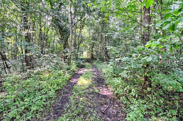 view of local wilderness