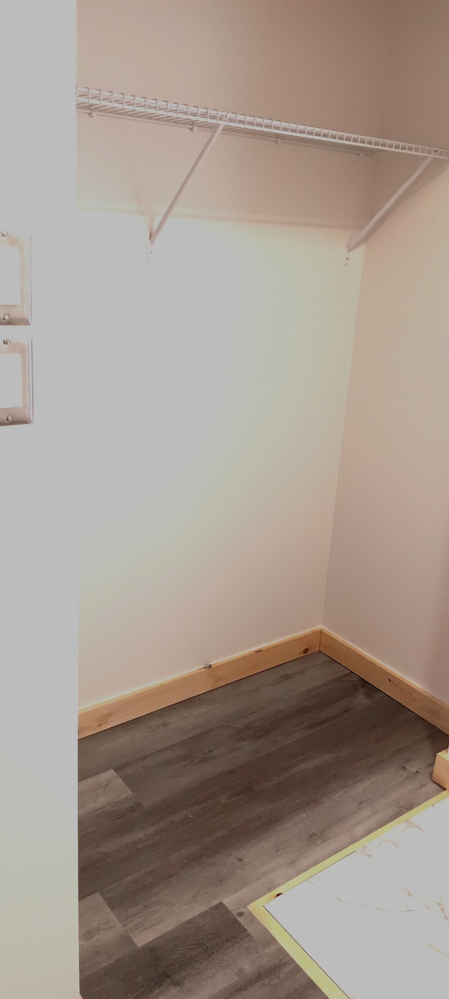 walk in closet featuring hardwood / wood-style flooring