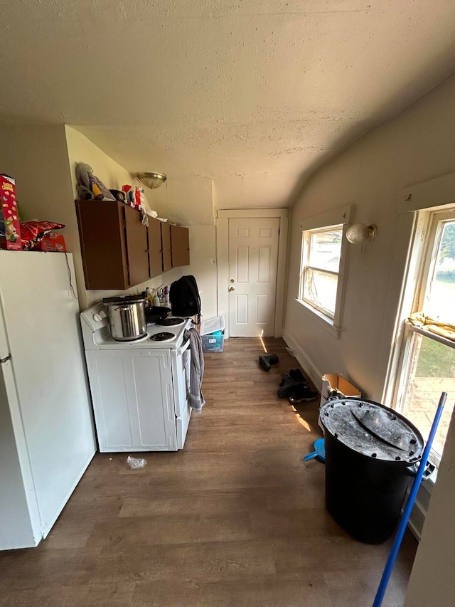 kitchen with dark wood-type flooring, a healthy amount of sunlight, vaulted ceiling, and white refrigerator