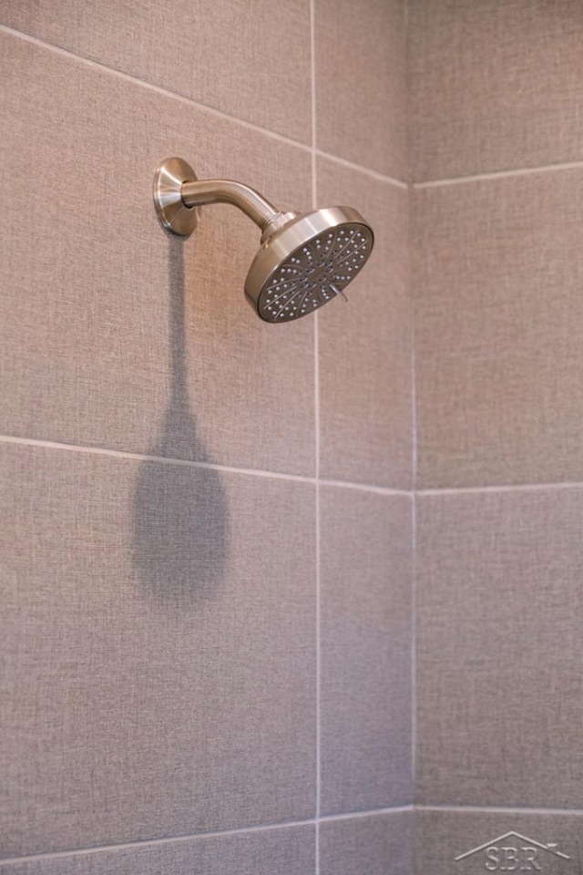 interior details featuring a shower