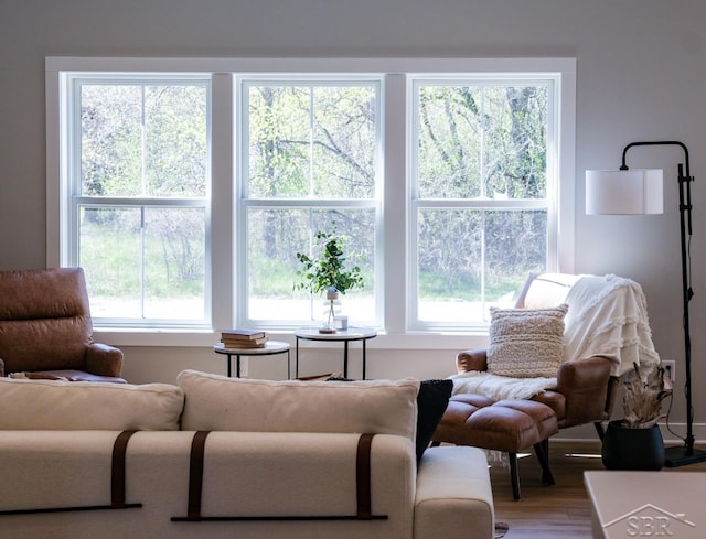 interior space featuring hardwood / wood-style flooring and plenty of natural light