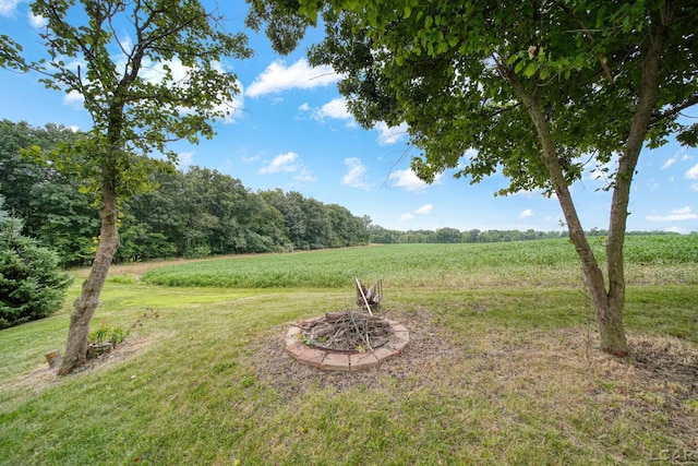 view of yard with a rural view